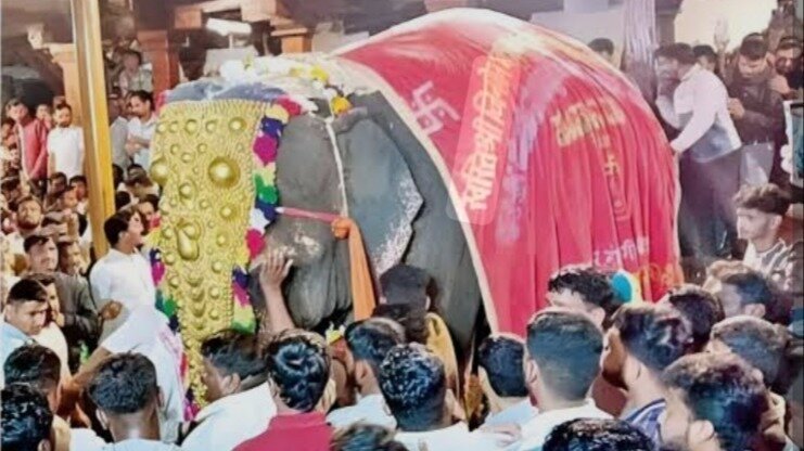 Petition · Bring Back Elephant Madhuri to Jain Math - India · Change.org