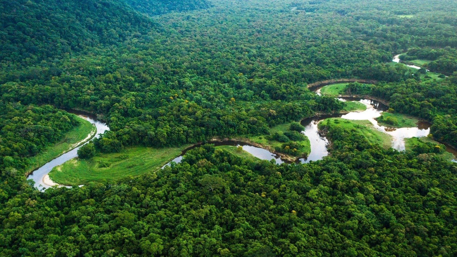 Petition · Save the Amazon rainforest ·