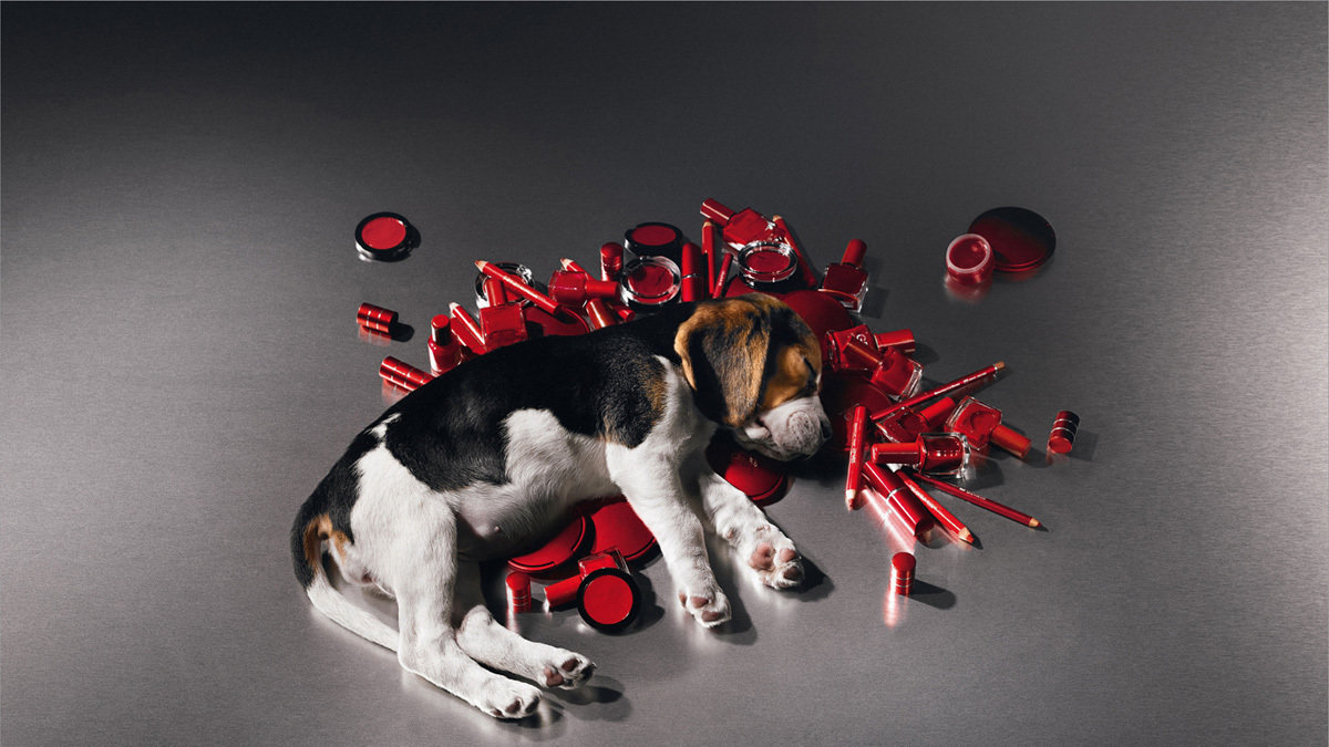 animal testing debating over the animal testing debating over the