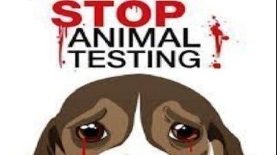 Petition · animal testing! - Australia · Change.org