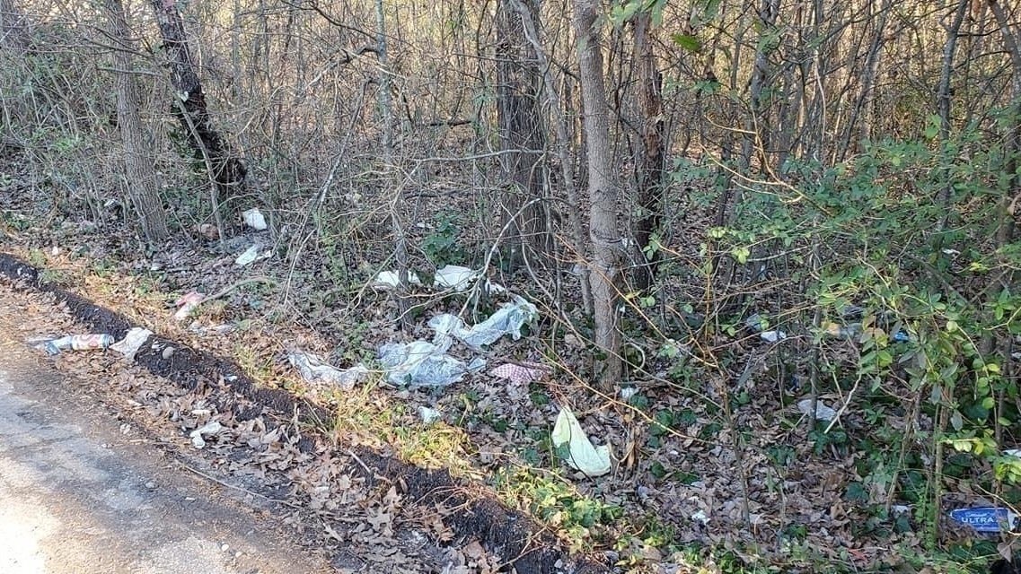 Petition · Clean up litter in South Carolina and show the true Palmetto