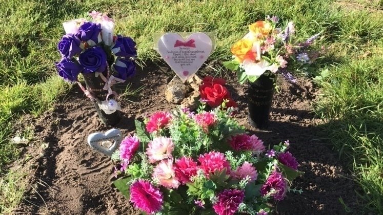 Petition · Resuscitate baby’s born under 24 weeks gestation