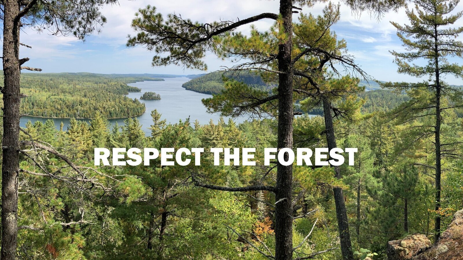 Petition · Make Salvaging Lumber Legal United States ·