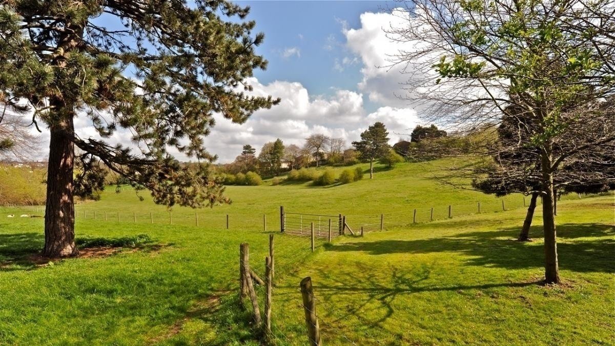 Petition · WFDC to withdraw the draft local plan for 2 years and stop