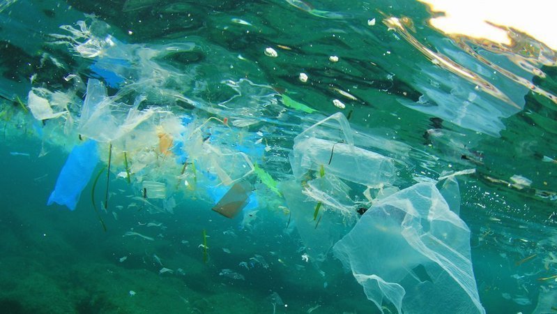 Petition Help Reduce Plastic Waste In The Ocean Change
