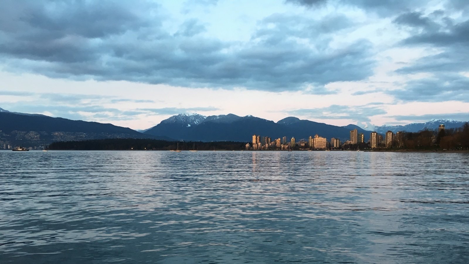 Petition · Ban SingleUse Plastic Bags In Vancouver ·