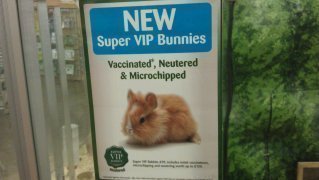 Vip Rabbit Petition · Stop Pets At Home Selling VIP rabbits. - United Kingdom ...