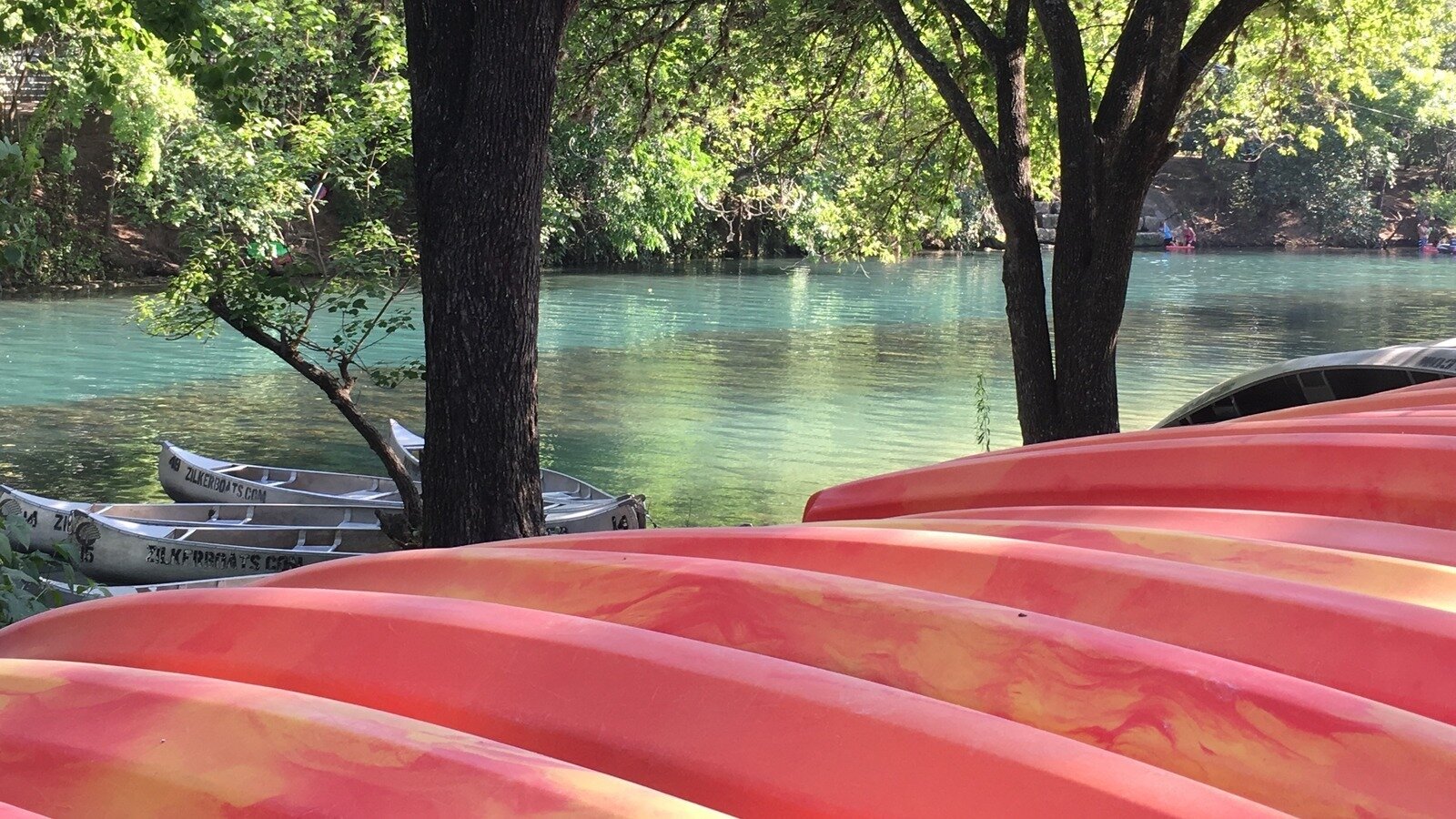Petition · Save Zilker Park Boat Rentals Austin, United States