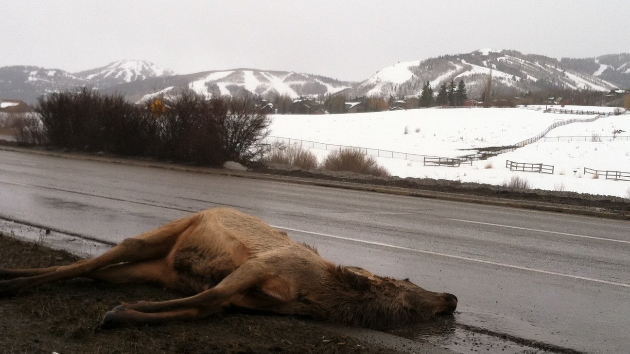 Petition Reconnect Wildlife Habitat Preserve The Local Climate In