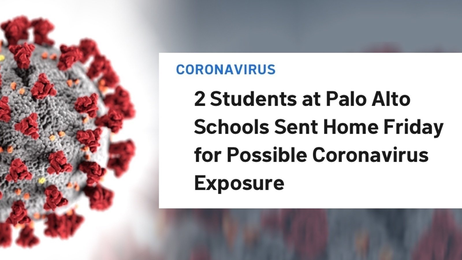 Petition · Close Bay Area Schools For CoronaVirus - United States ...
