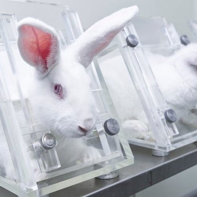 39+ Amber Heard Change Org L Oreal amber heard movie cast