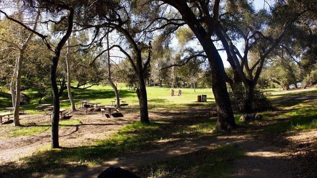 Petition · Demand San Diego County Plant More Trees Totaling to 550 in