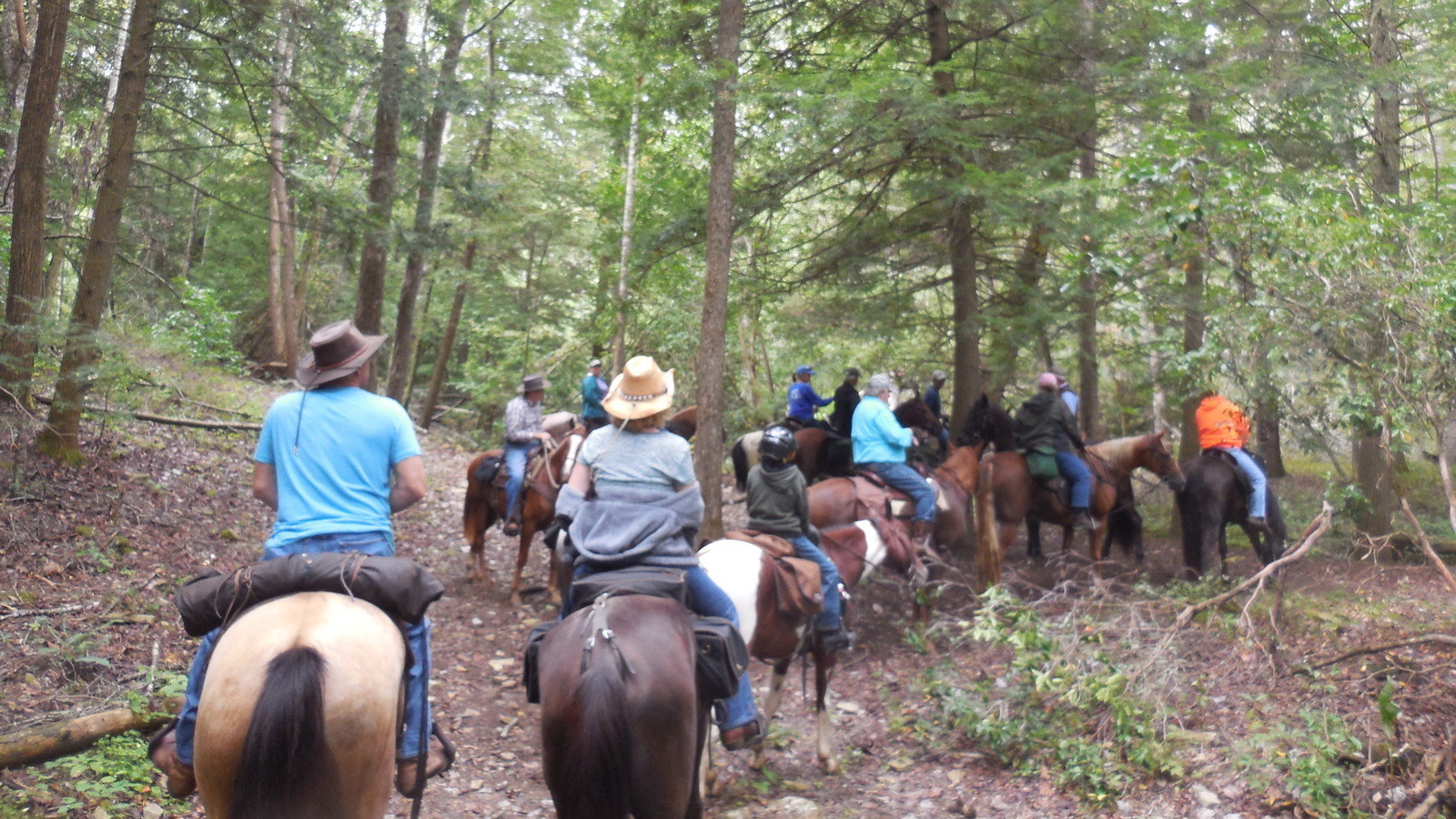 Petition · Preserve Twenty Miles of Horse Trail, Murfreesboro, TN