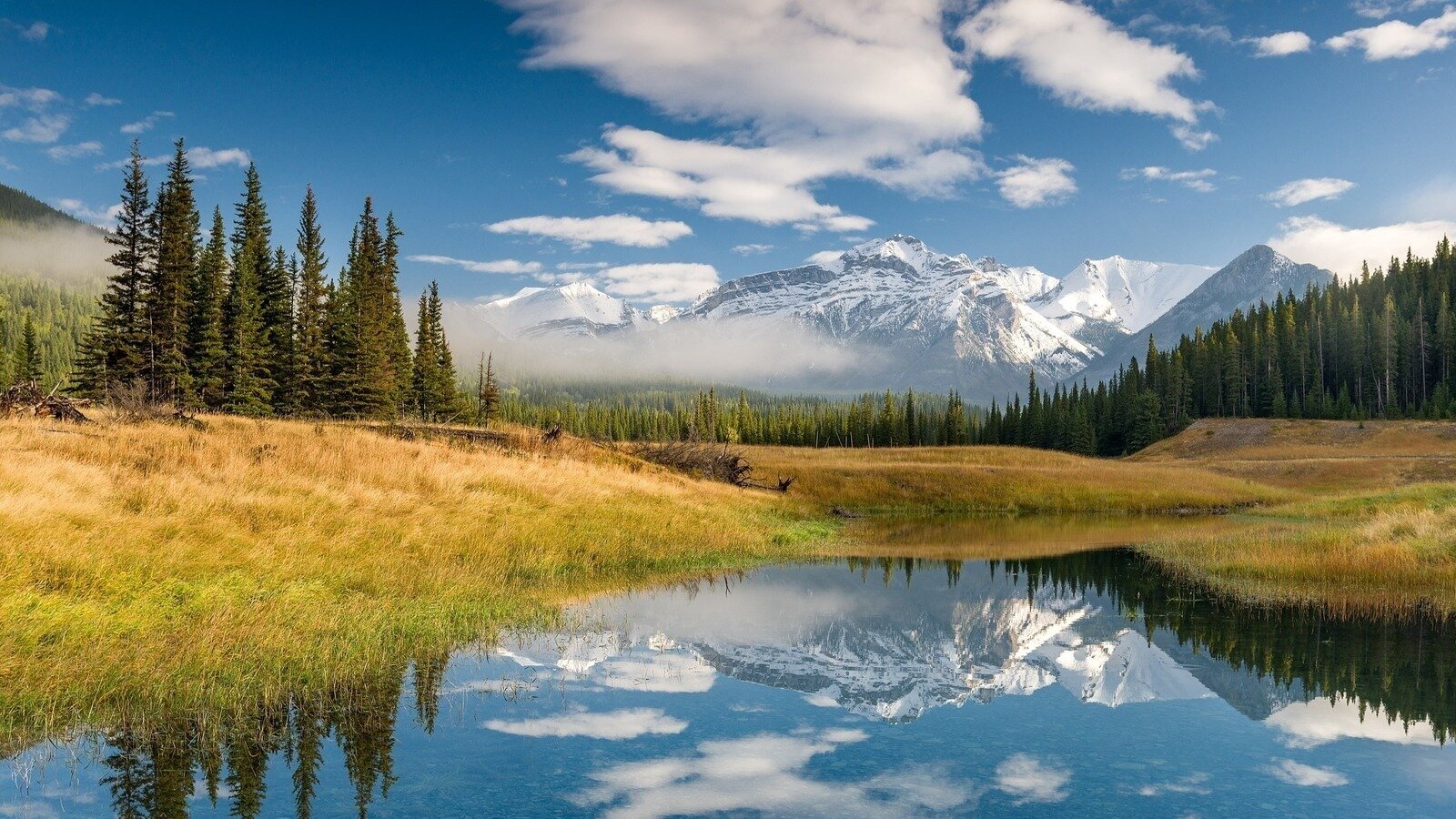 Petition update · January 2025 Update: The UCP Is Allowing Coal Mining ...