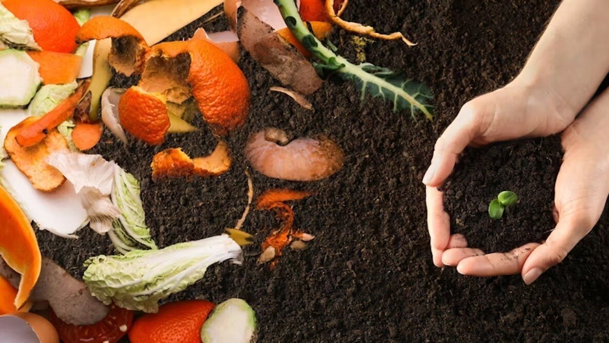 Petition · Demand Brisbane City Council to Resume Kerbside Organics