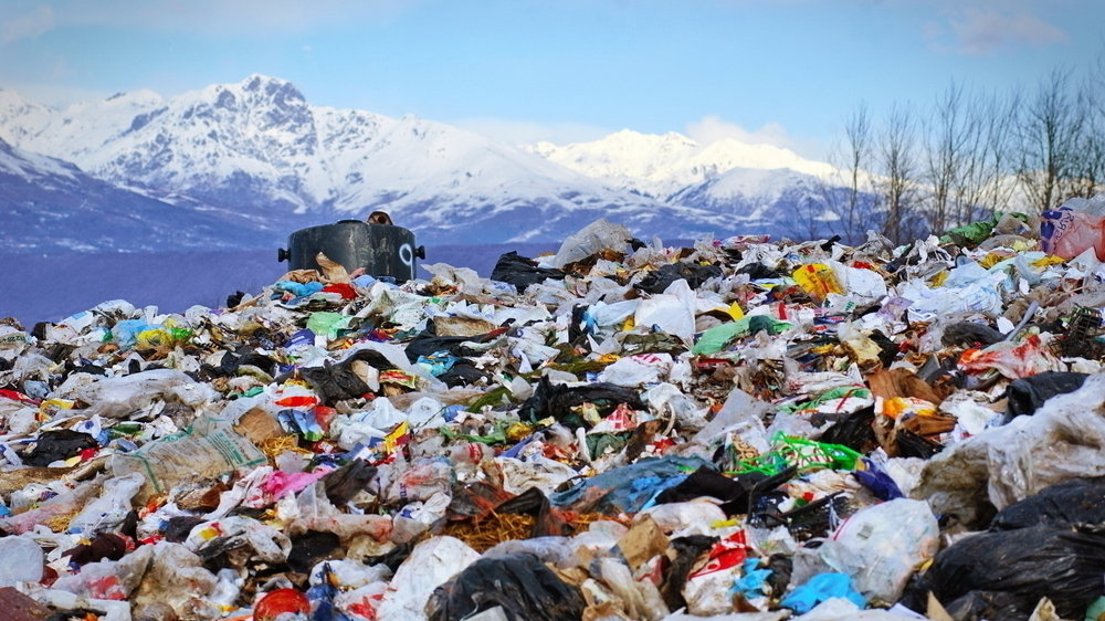 Petition · Polythene bags must be banned! India ·