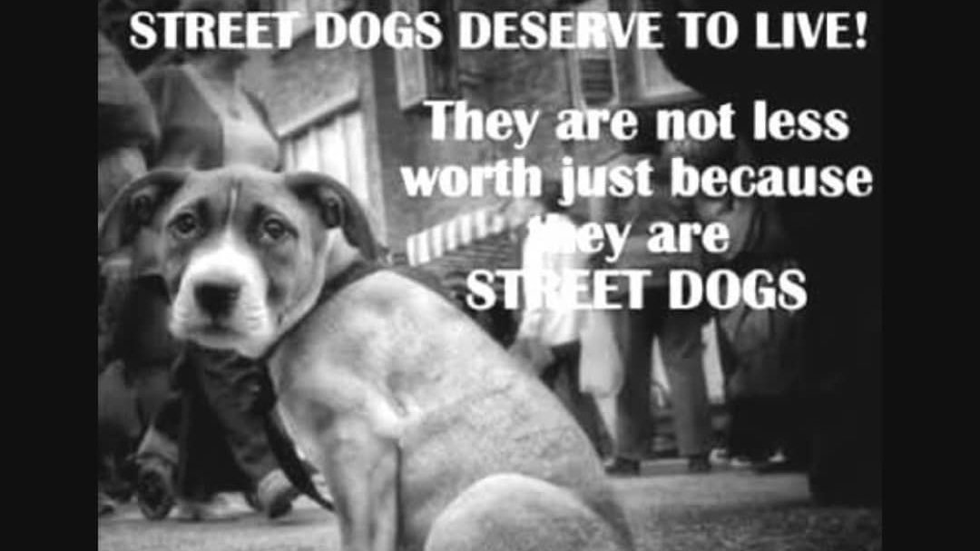 Petition · Equality to animals · Change.org