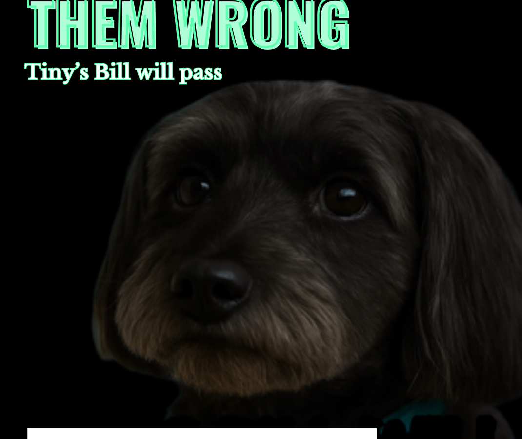 Petition update · Watch us prove them wrong · Change.org