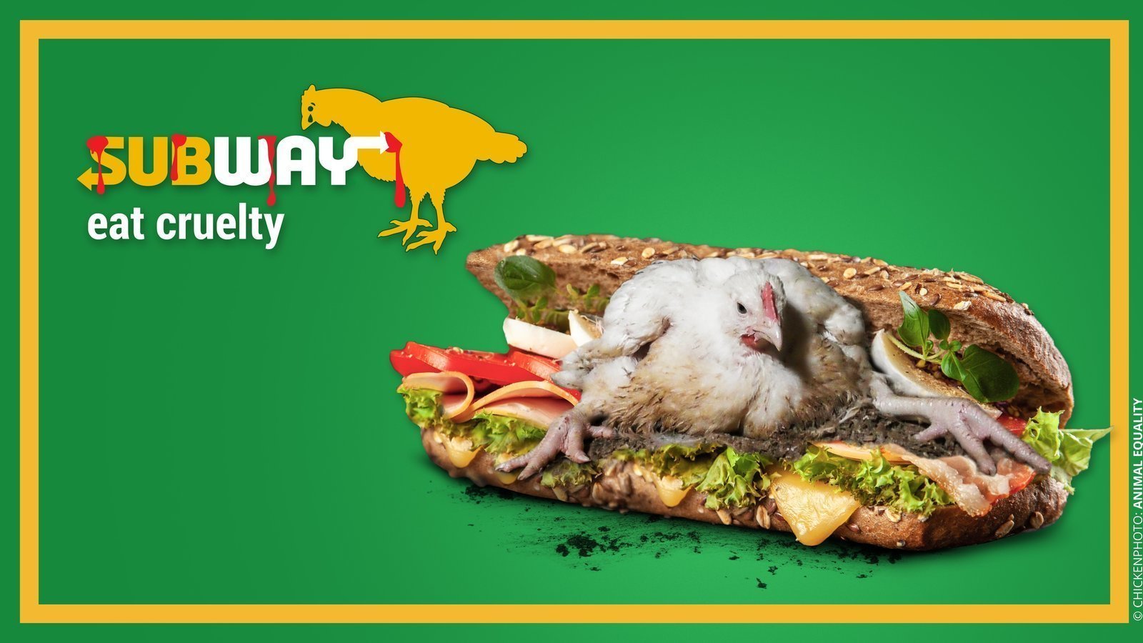 Petition · Stop chicken cruelty in Subway United Kingdom ·