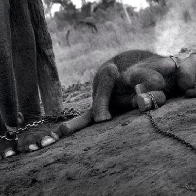 Petition · Juan José Cardona: Las Palmas de Gran Canaria quiere ser