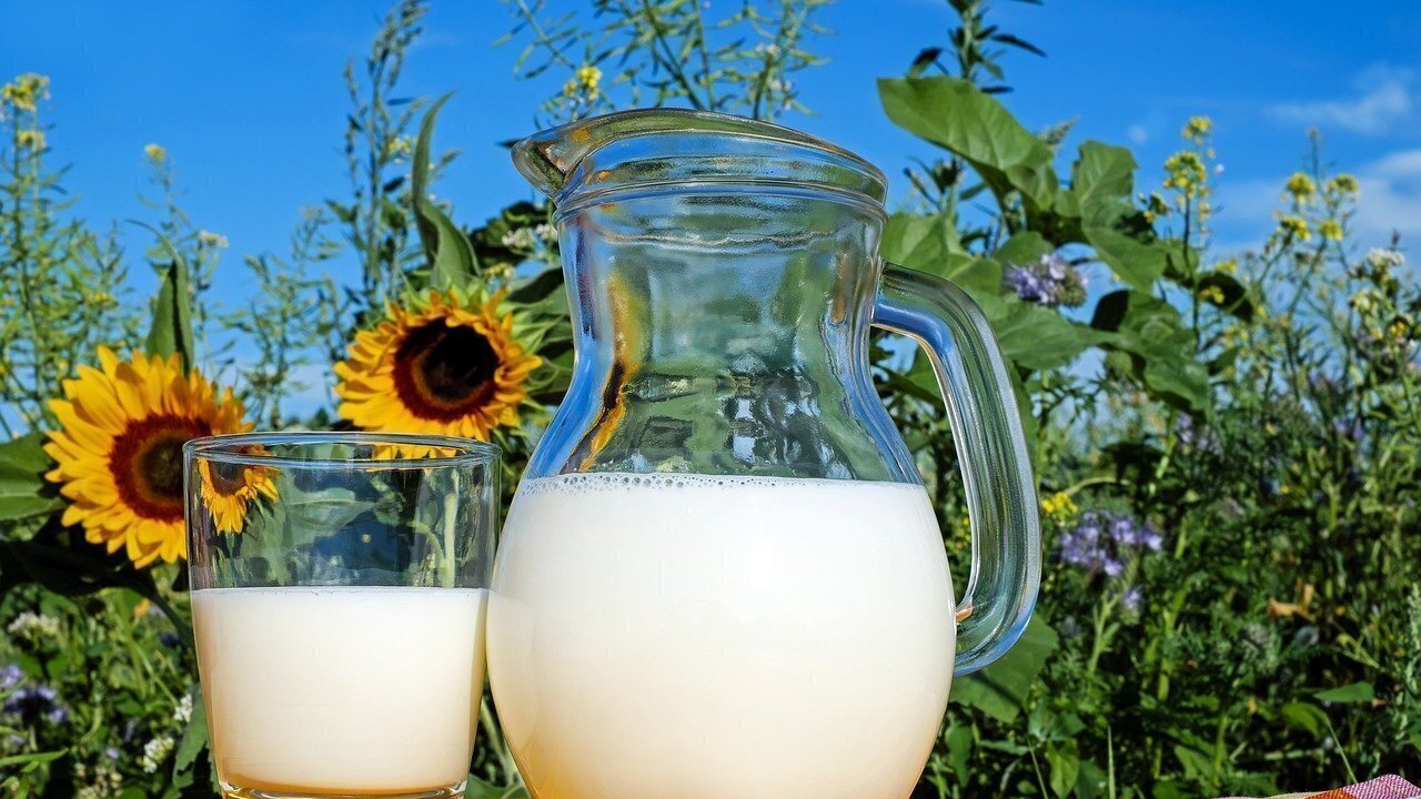 Petition · Fight for the right of raw milk in Alabama! Legalize raw dairy sales in Alabama