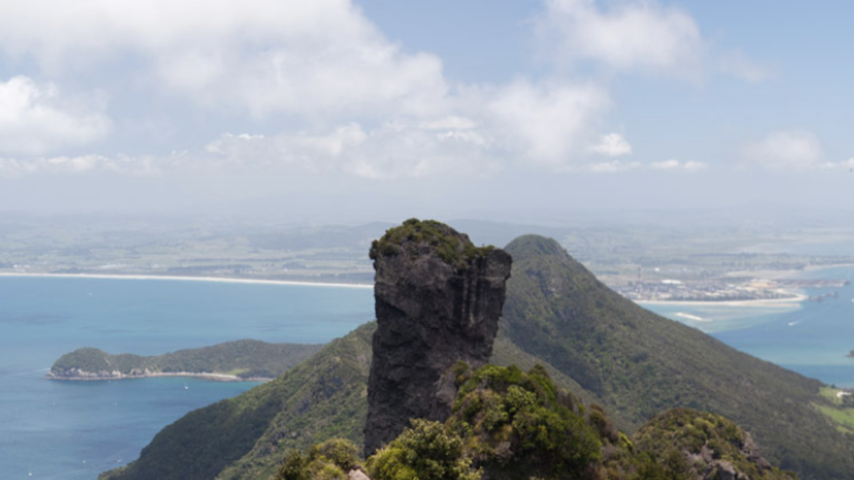 Petition · Lower the speed limit for Whangarei Heads Road New Zealand