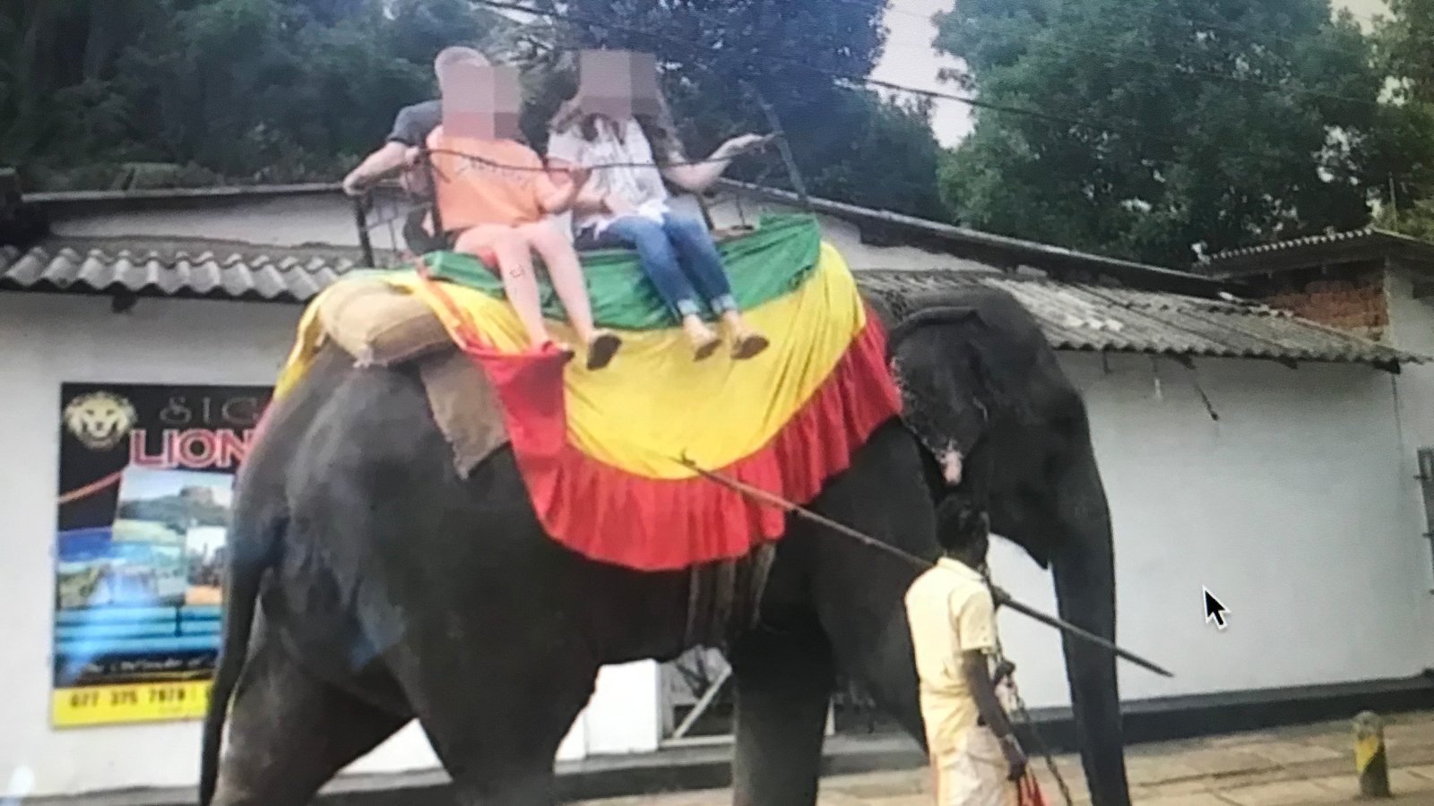Petition · Stop all rides on elephants this death is an example! ·