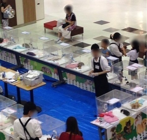 キャンペーン イオンペット株式会社 代表取締役社長 小玉 毅 様宛 イオン イベント開催場でのペット展示販売中止 Change Org