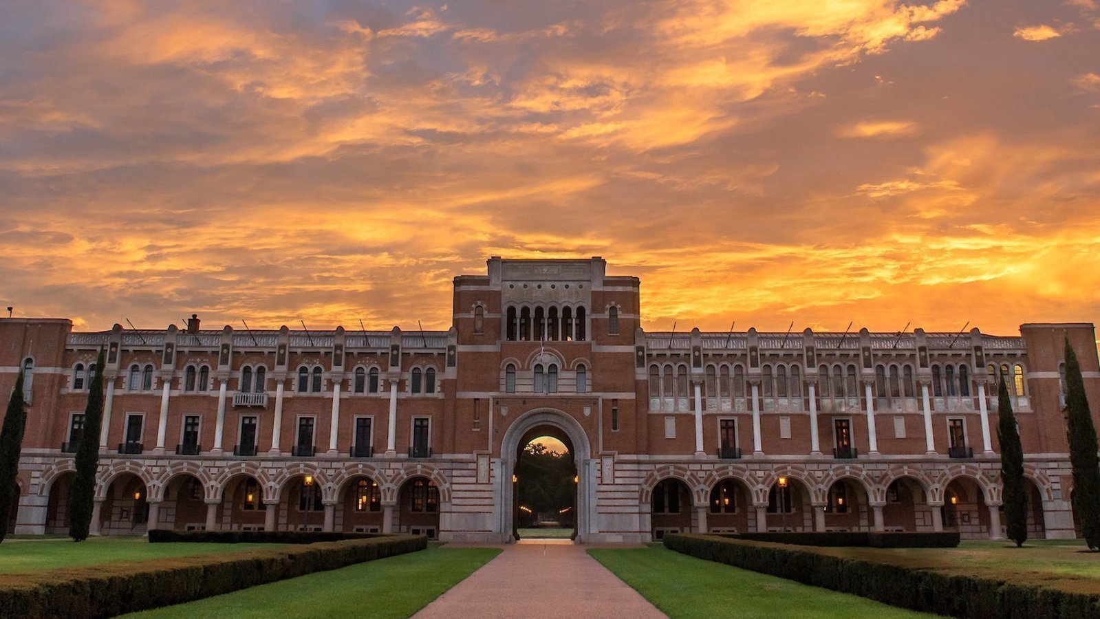 Petition · Prioritize H&D Treatment and Reduce Fall 2020 Tuition