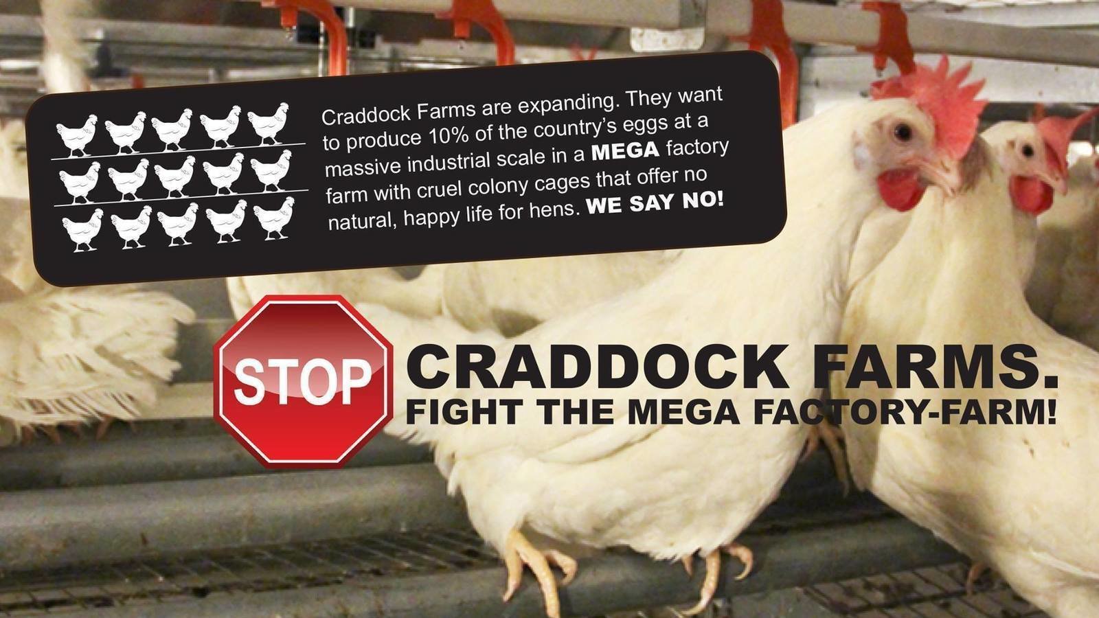 Petition · Don't build New Zealand's largest egg factory farm. New