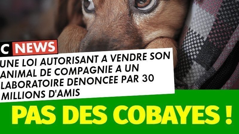 Pétition · Suppression de la loi pour vendre son animal à