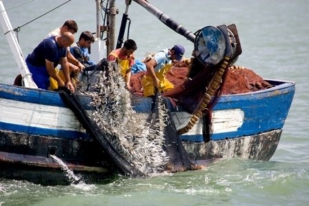Petition · Help Protect Oceans from Destructive Fishing Practices