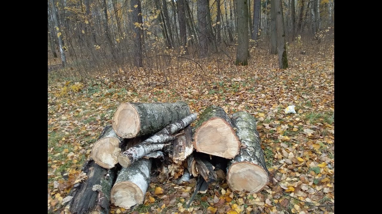 Петиция · Помогите спасти Малаховское озеро - Малаховка, Россия ...