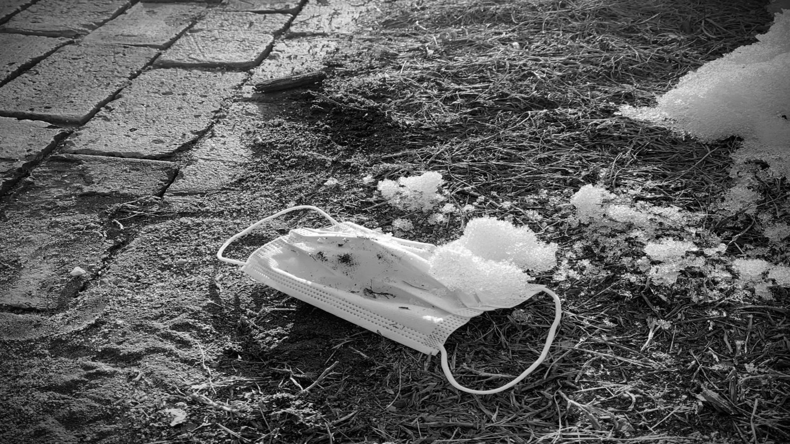 Petition · End School Mask Mandates in Northampton, MA ·