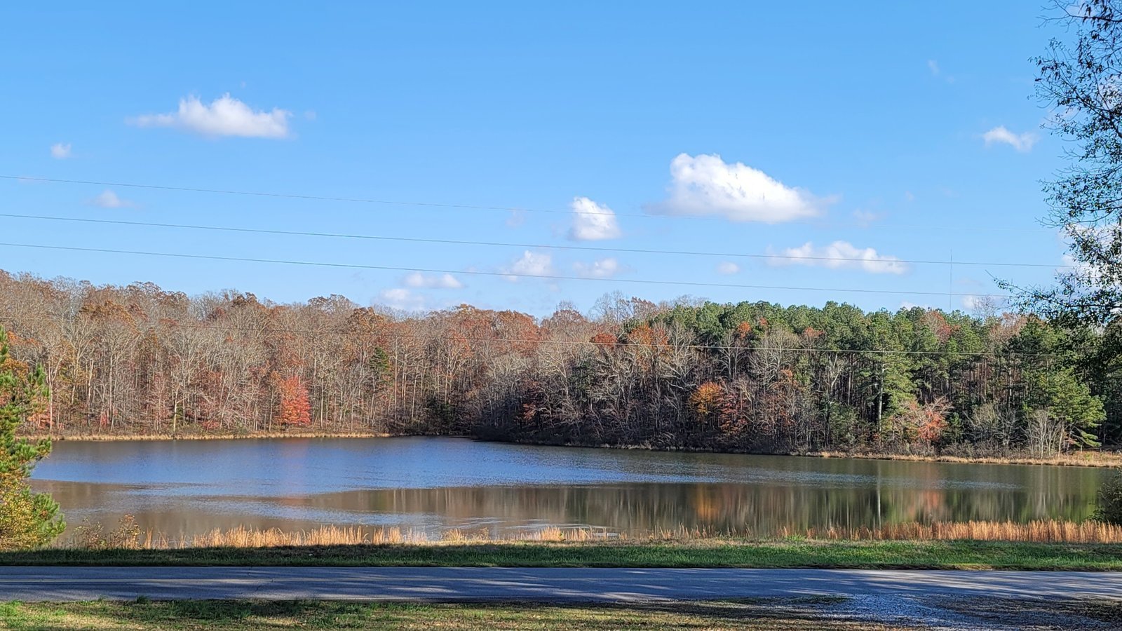 Petition · Save Seagraves Lake United States ·