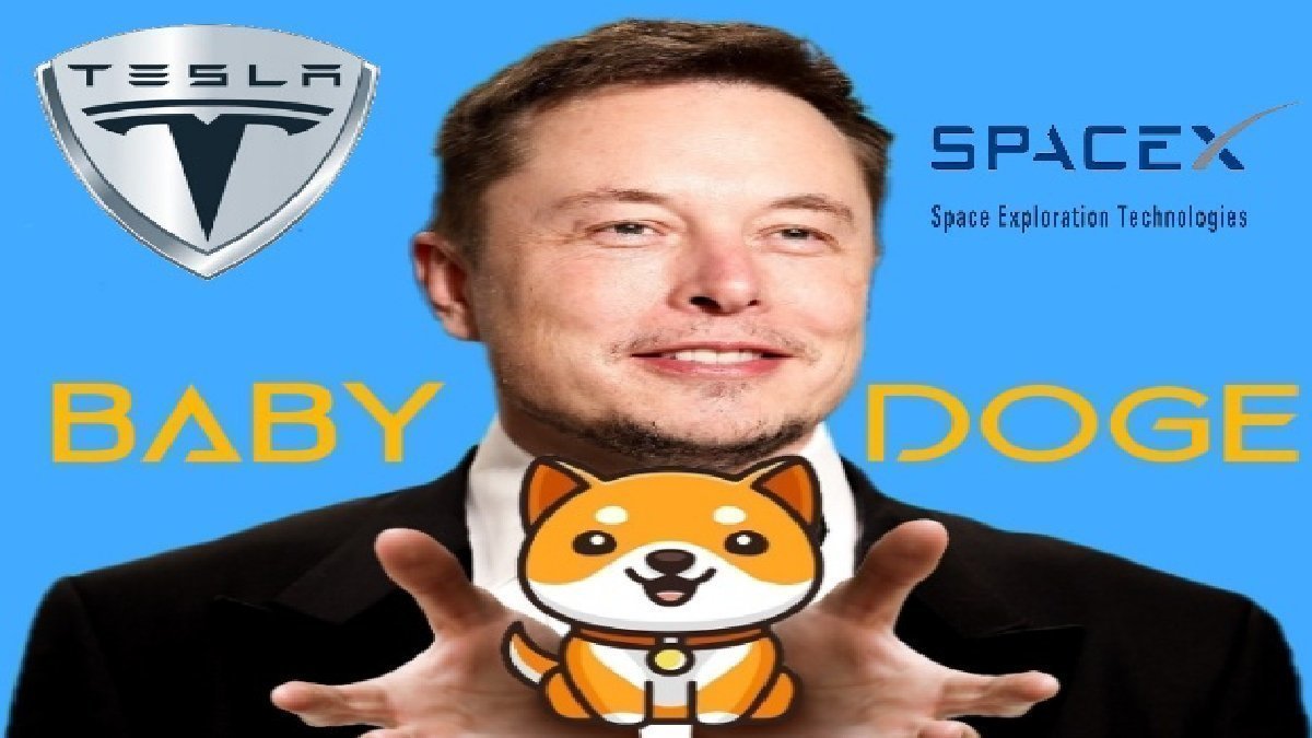 Petizione · Elon Musk please accept Baby Doge Coin as payment for Tesla and  SpaceX. - Stati Uniti · Change.org