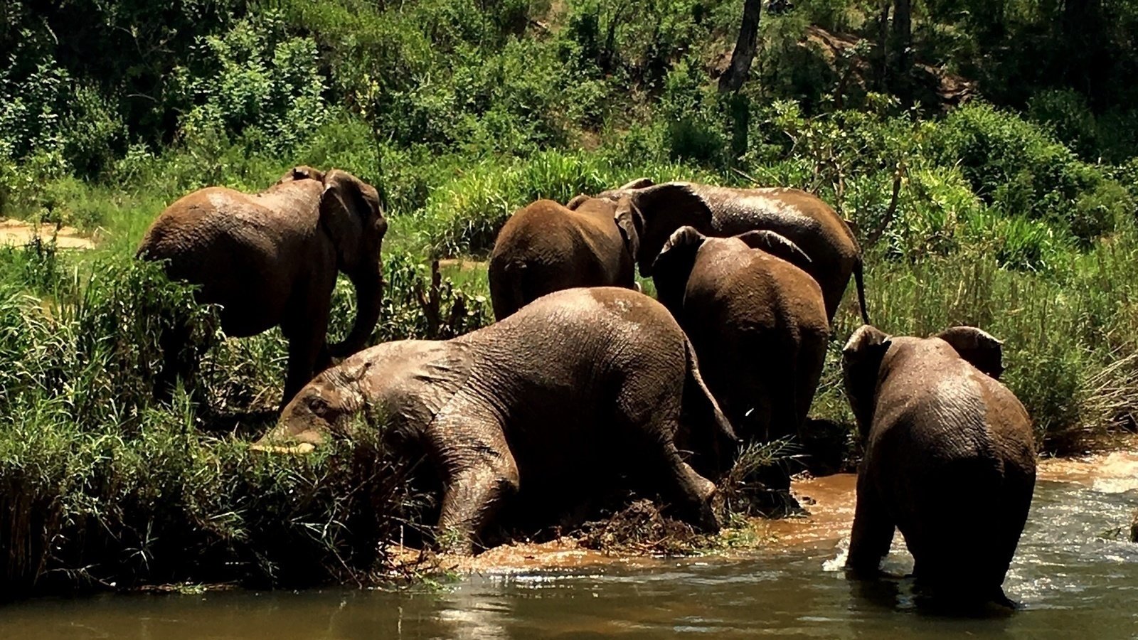 Petition · Open our zoos now ·