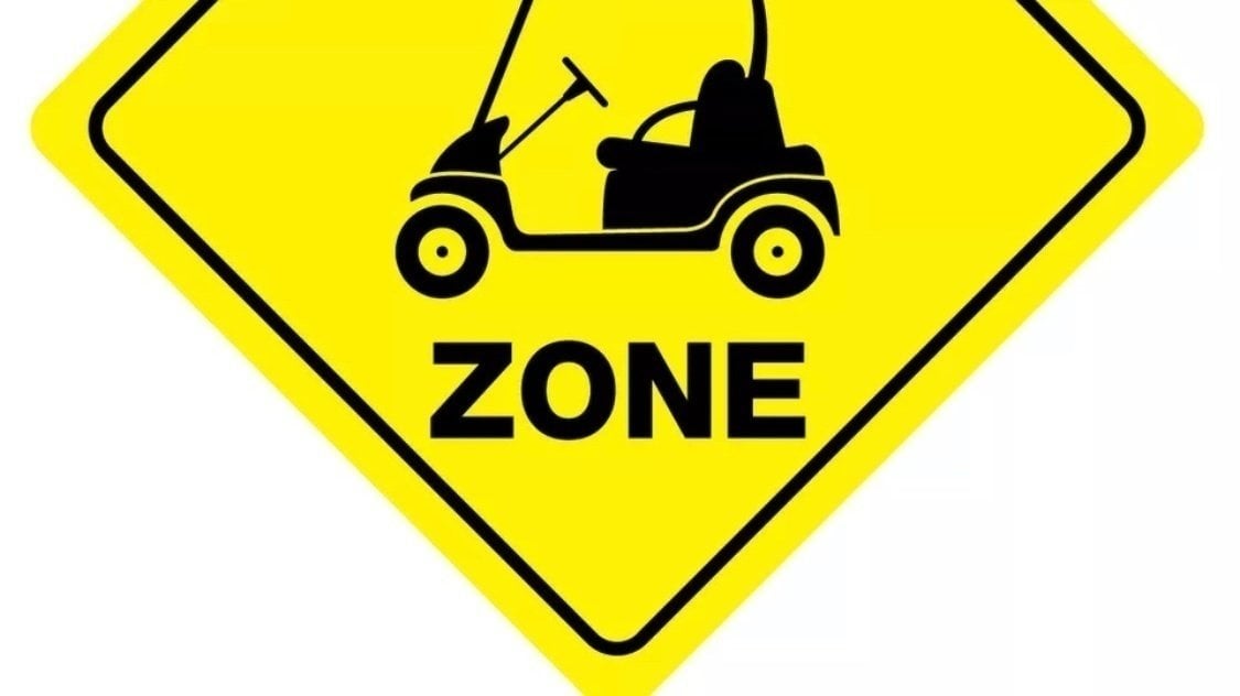 Petition · Town of Edgewood Golf Cart Ordinance ·