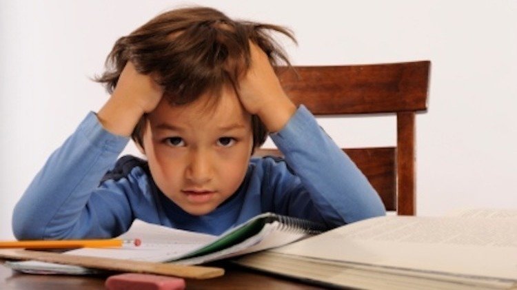 Stop homework petition image