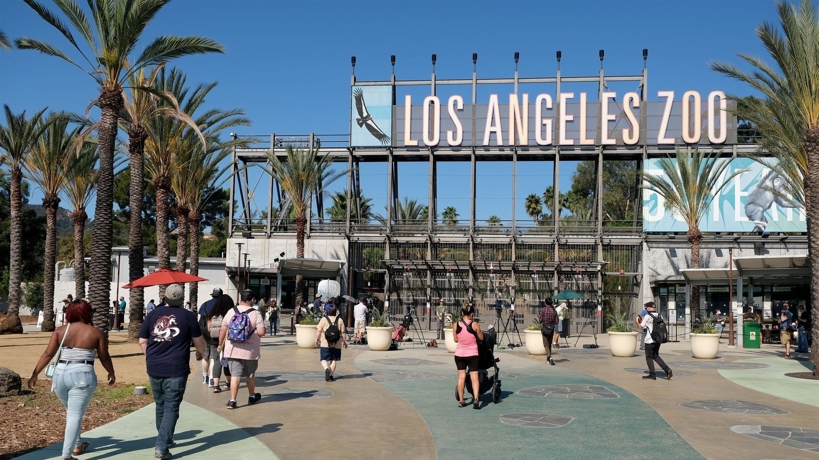 Petition · Stop LA Zoo’s 650 million expansion! United States