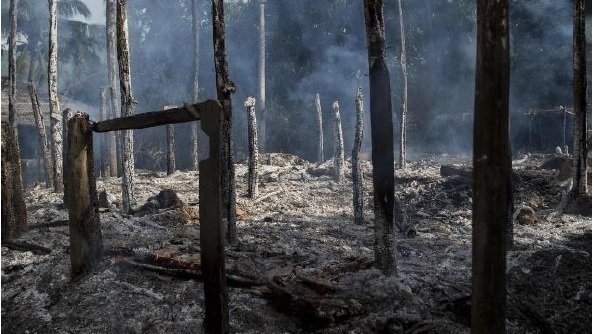 Topic Rohingya Change Org