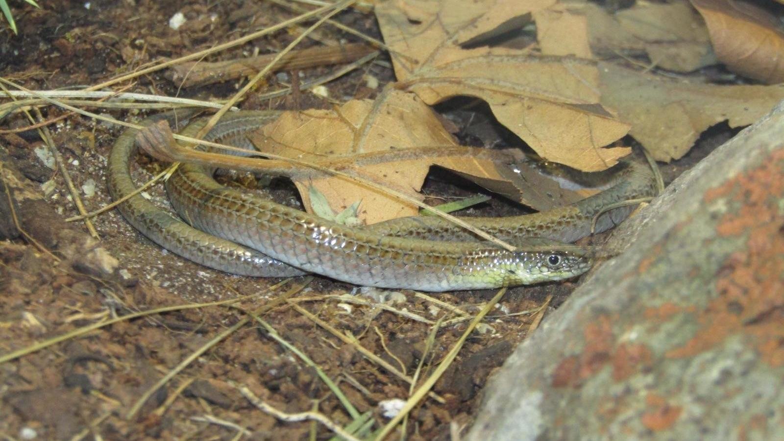 Petition · STOP YOUTH DETENTION CENTER DESTROYING VITAL HABITAT FOR