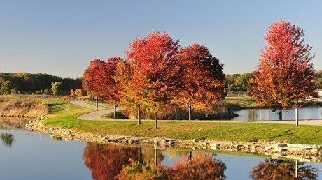 Petition · Lake County Forest Preserve District Should List