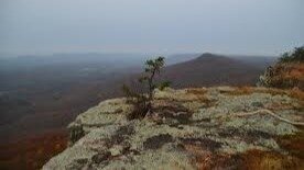 Petition · Expose and Challenge the Corruption in Dade County, GA