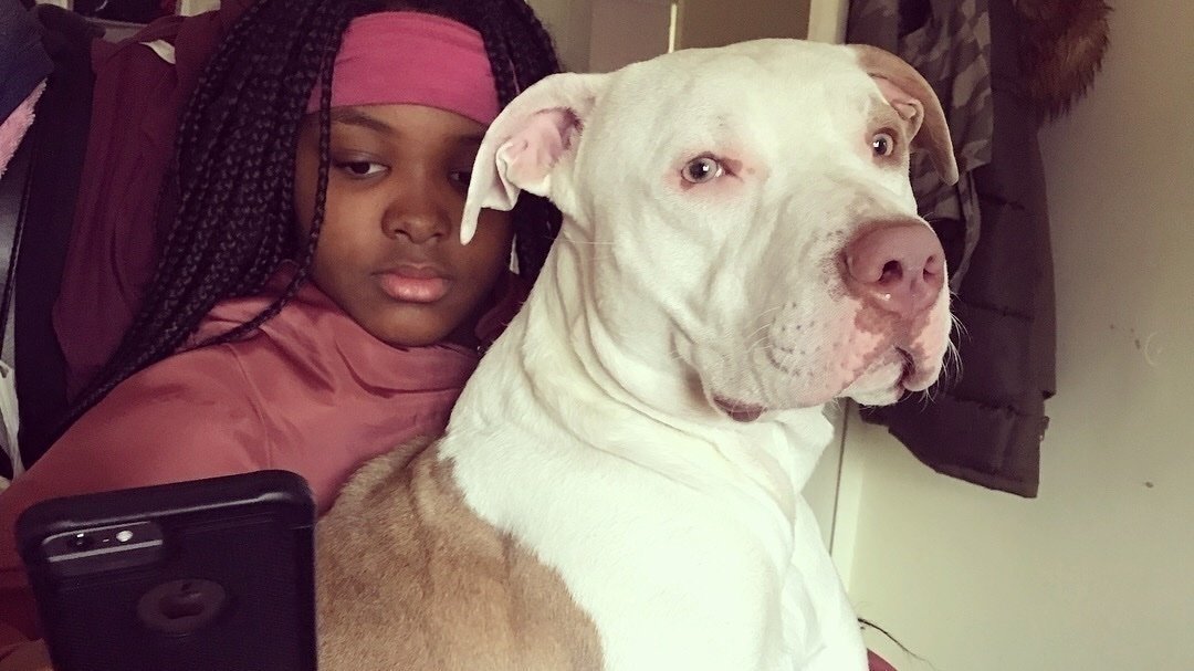 dog lovers blackburn