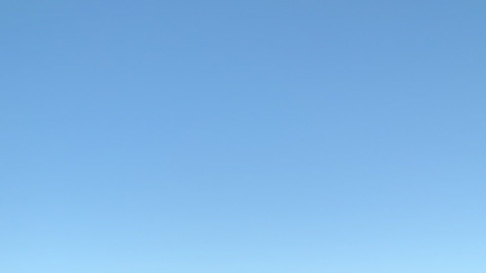 Petition · Legalize jacking off during work hours - United States