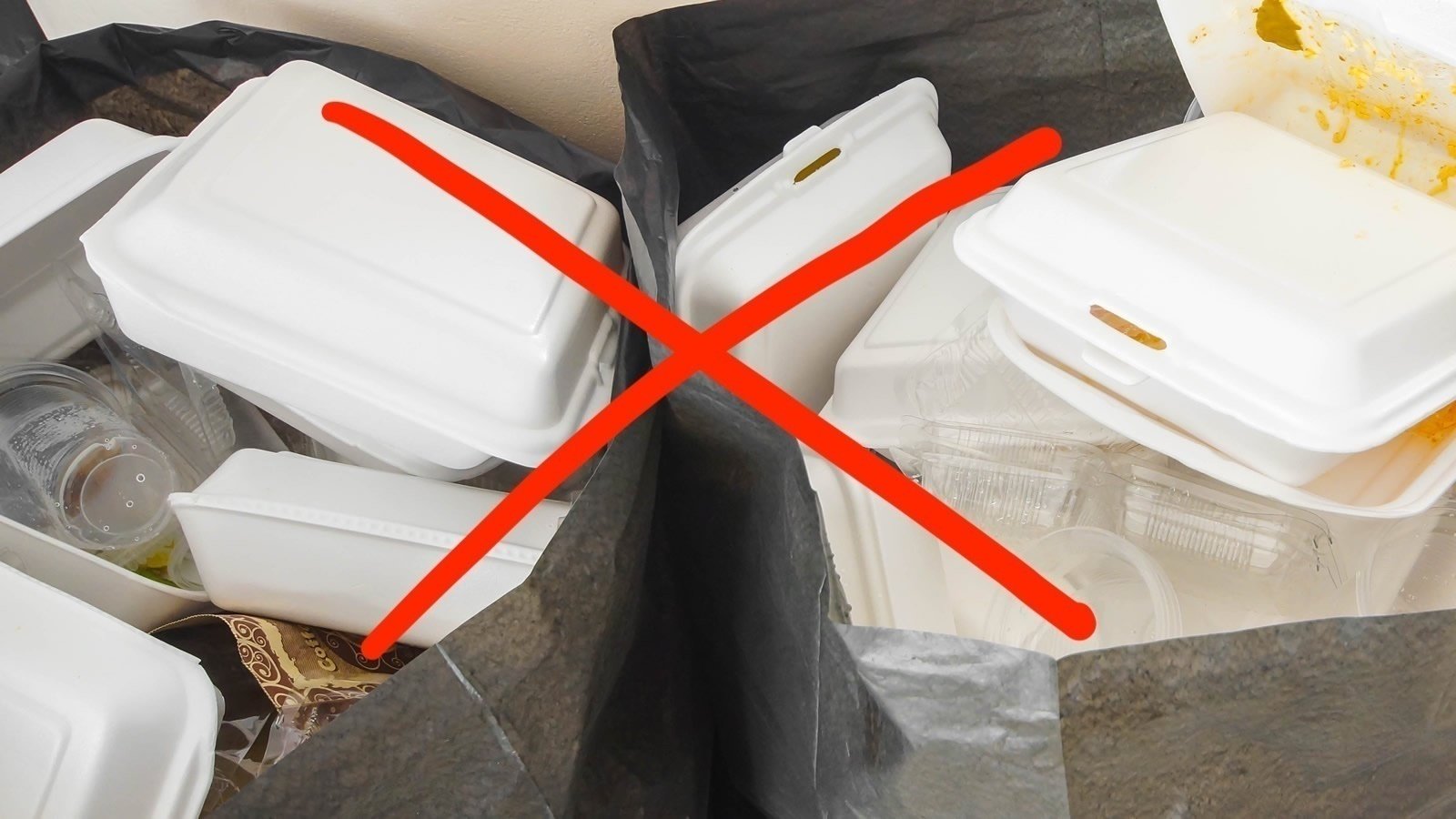 Petition · Ban Plastic and Styrofoam Takeout Containers in Los Angeles