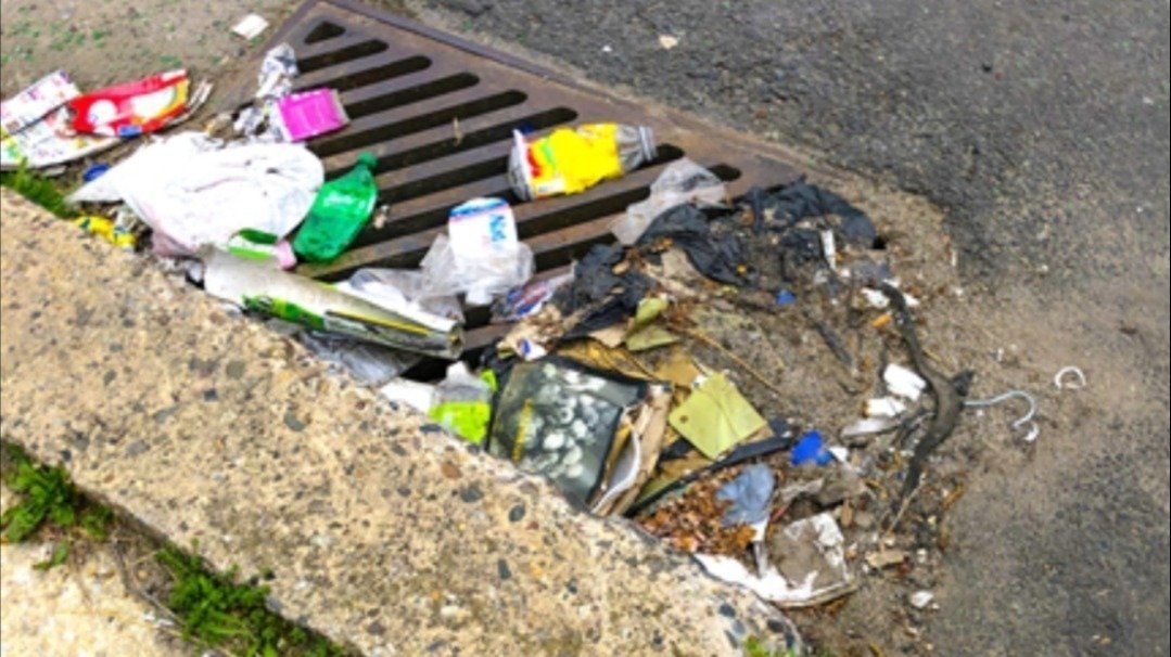 Petition · People who litter should be fined. A fee. South Africa