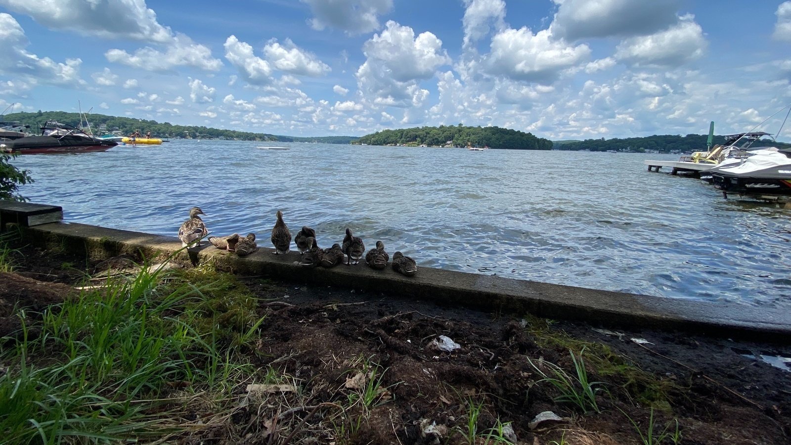 Petition · Local discounts for Lake Hopatcong residents ·