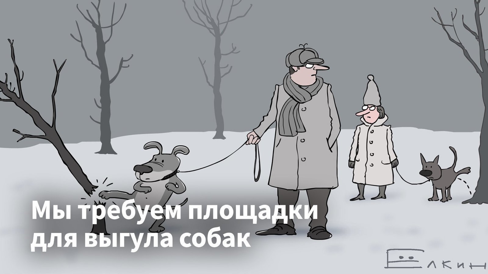 Петиция · Мы требуем площадки для выгула собак · Change.org